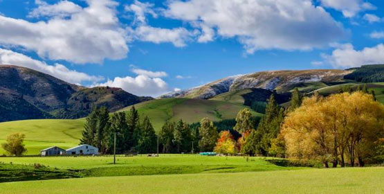 Geraldine for the Day