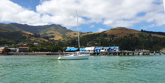 A Taste of France – Akaroa Day Trip