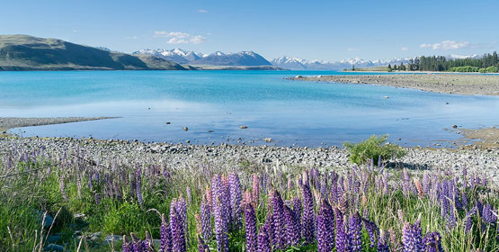 Tekapo / Lakes / Mountains / Mount Cook Tour