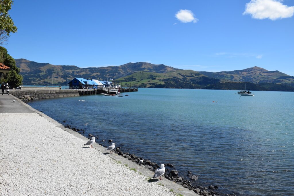 Archer Tours - Taste of France Akaroa trip, stunning vista